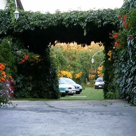 Akác *